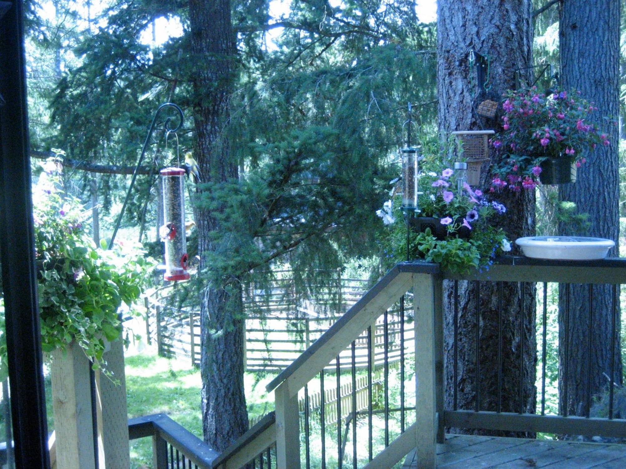 Misty Meadows B&B Langford Exterior foto