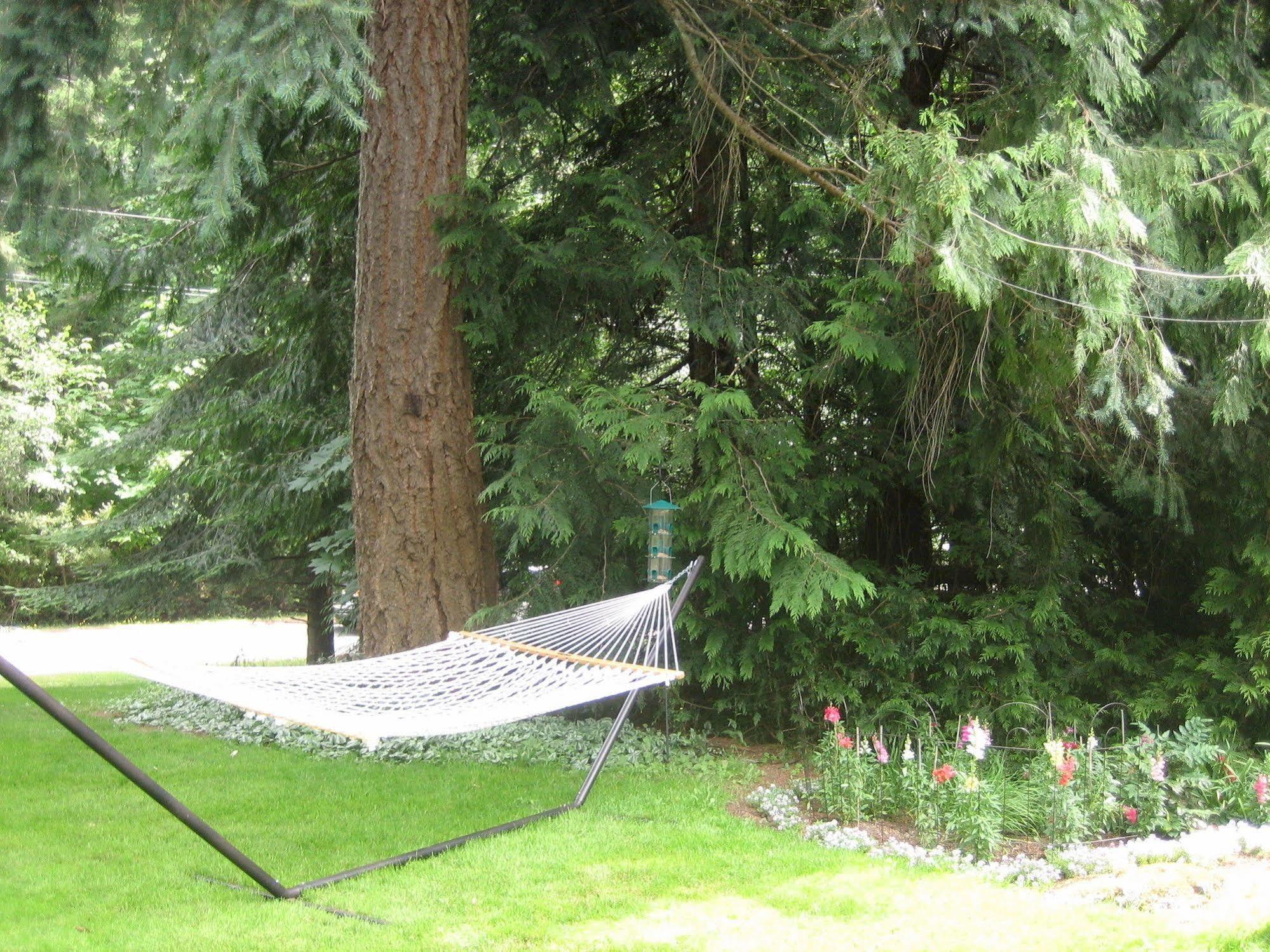 Misty Meadows B&B Langford Exterior foto